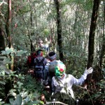 du lich trekking tam dao