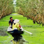 ườn Quốc gia U Minh Thượng trở thành Vườn di sản ASEAN